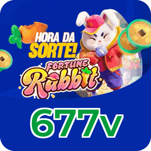 677v VIP — segmentação e política de privacidade da plataforma